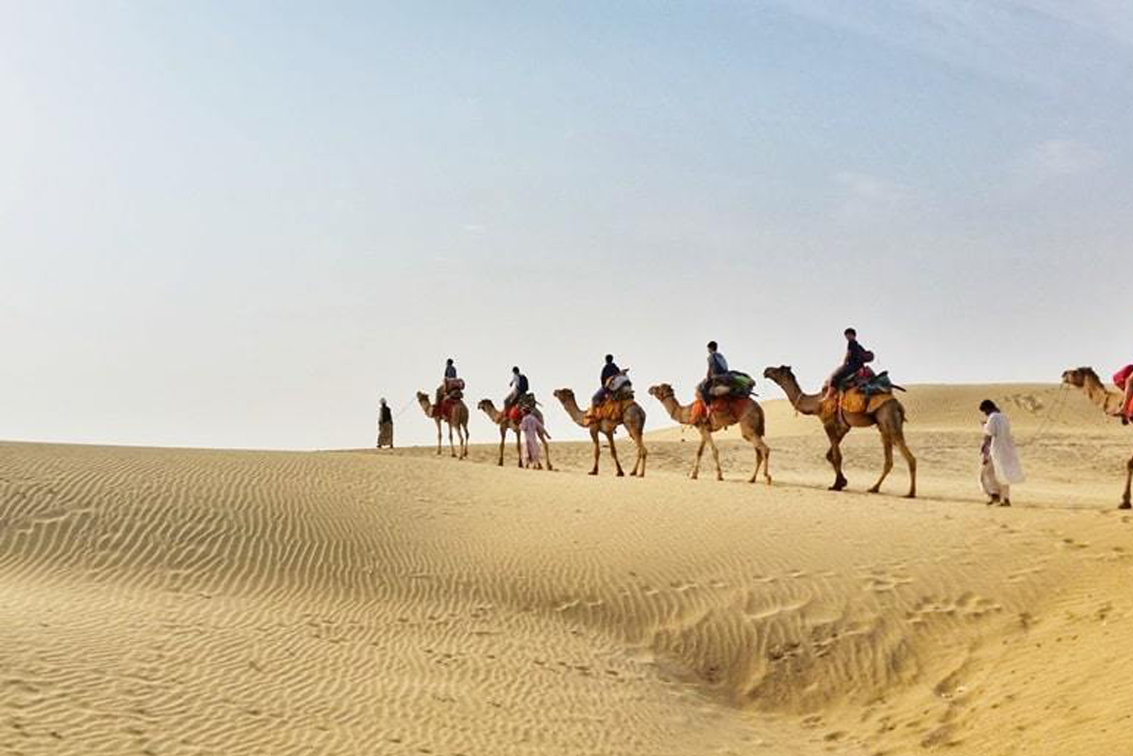 camel safari