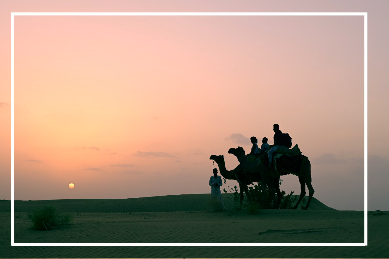 Camel Safari